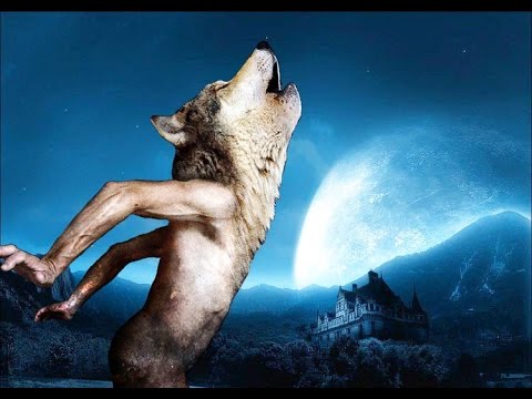 Красная шапочка и реальная история Оборотня из Бедбурга