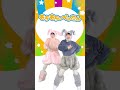 踊ってみよう！│オリジナルソング│もちもち☆ぺったん│こどものうた│キッズソング│どこでもジャンボリー！🌈 #shorts