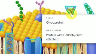 Quizlet - Using Interactive Diagrams for Learning