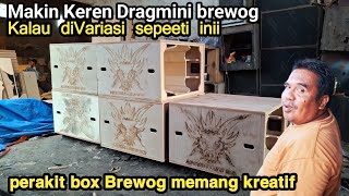 Creative Ideas For Assembly Of Dragmini Brewog Boxesnew Variations And Schemes