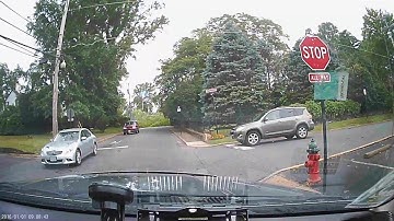 Dashcam Captures Tree Taking out Power Line || ViralHog
