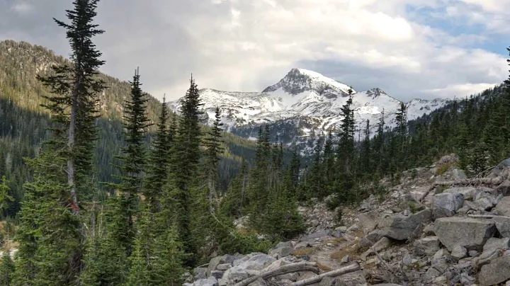 Inside the Territory, Part I: Into the Territory