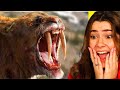 GLI ANIMALI PIÙ PERICOLOSI DEL MONDO!!