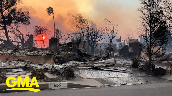 How will devastating LA wildfires change the insurance industry?