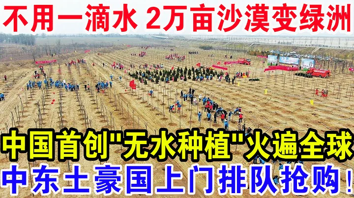 不用一滴水2萬畝沙漠變綠洲，中國首創「無水種植」火遍全球，中東土豪國上門排隊搶購！ - 天天要聞