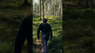 Enluminures Iii Cascades Et Sapins