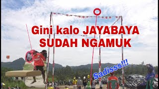 Aksi aksi Royal di Lapak kebo Pangandaran