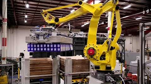Goldco Robotic Bulk Palletizing and Cobra Laning - Cans