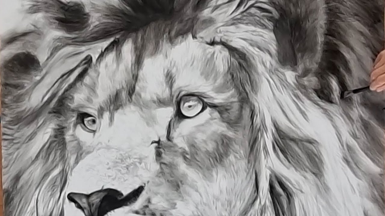 Como pintar un leon en un tamaño gigante - parte 3- pintura para ...