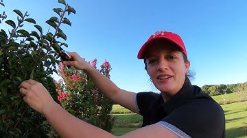 Agricultural Science & Technology