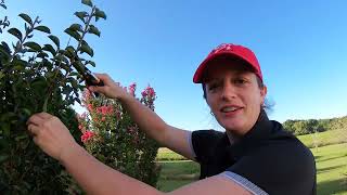 Celebrity Agricultural Science & Technology Wealth