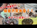 ペット達の体重測定をしたら意外な結果が！？【爬虫類】【多頭飼い】【多頭飼育】