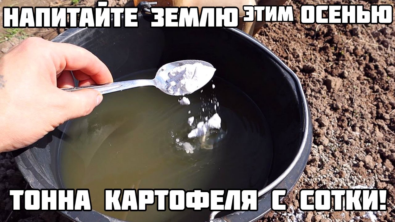 Смотреть видео