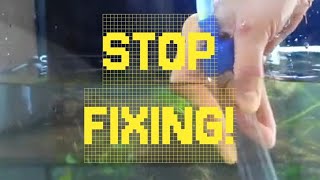 STOP FIXING! Leave your tank ALONE!