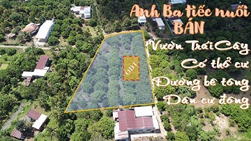 Vườn Trái Cây CÓ THỔ CƯ SHR mặt tiền bê tông ngay TP Long Khánh