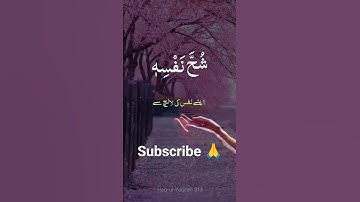 #Surah Al-Hashr| ayat#9| Surah 59| سورة الحشر| beautiful and heart touching voice| Tilawaat| Quran |