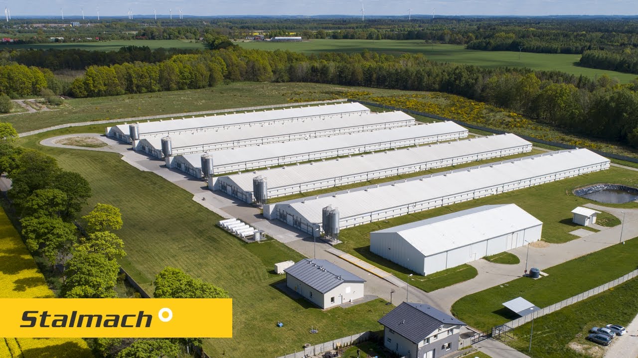 Stalmach - Budowa fermy drobiu, kurniki [4K]