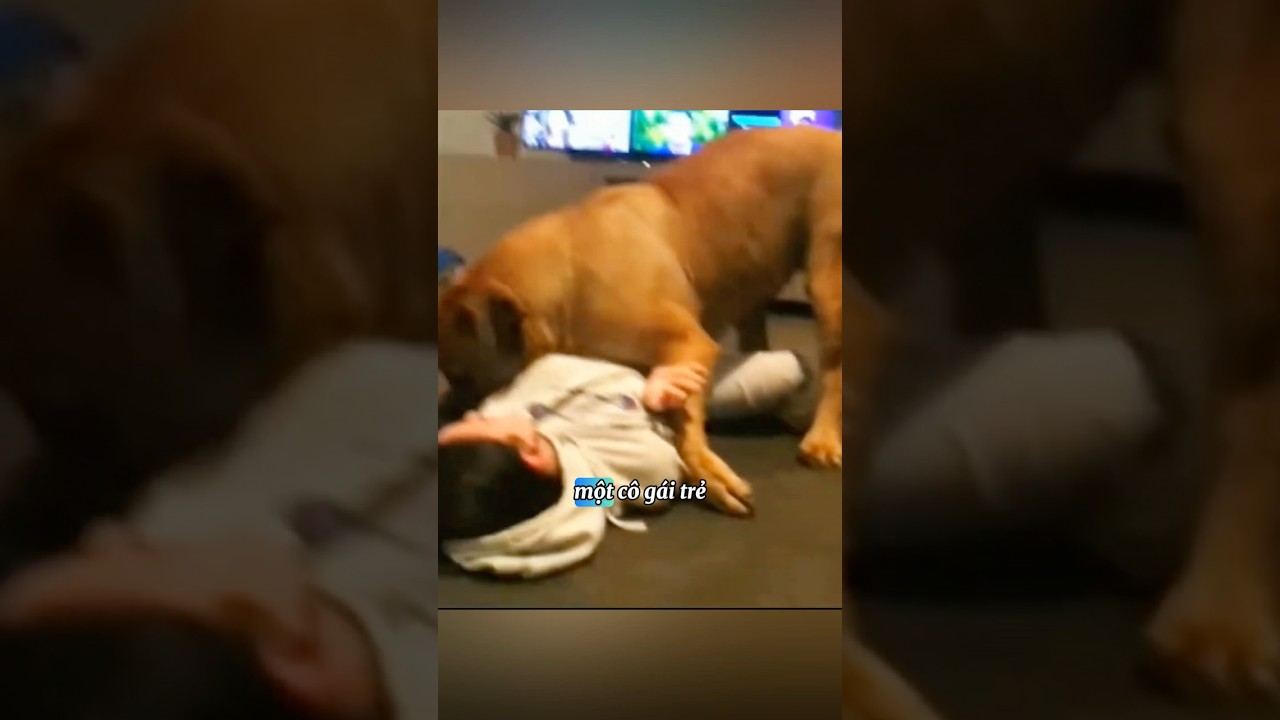 ⁣Cô gái bỗng dưng có thai và bất ngờ khi xem lại đoạn camera