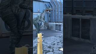 Raptor Encounter At Universal Studios Hollywood