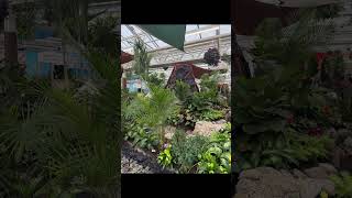#hicksnurseries #gardenshow  2026