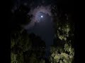 سورة طه القارئ عمر بن ضياء الدين