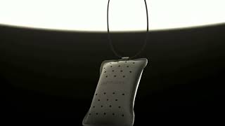 Areon Leather Collection D Star Oto Araç Kokusu