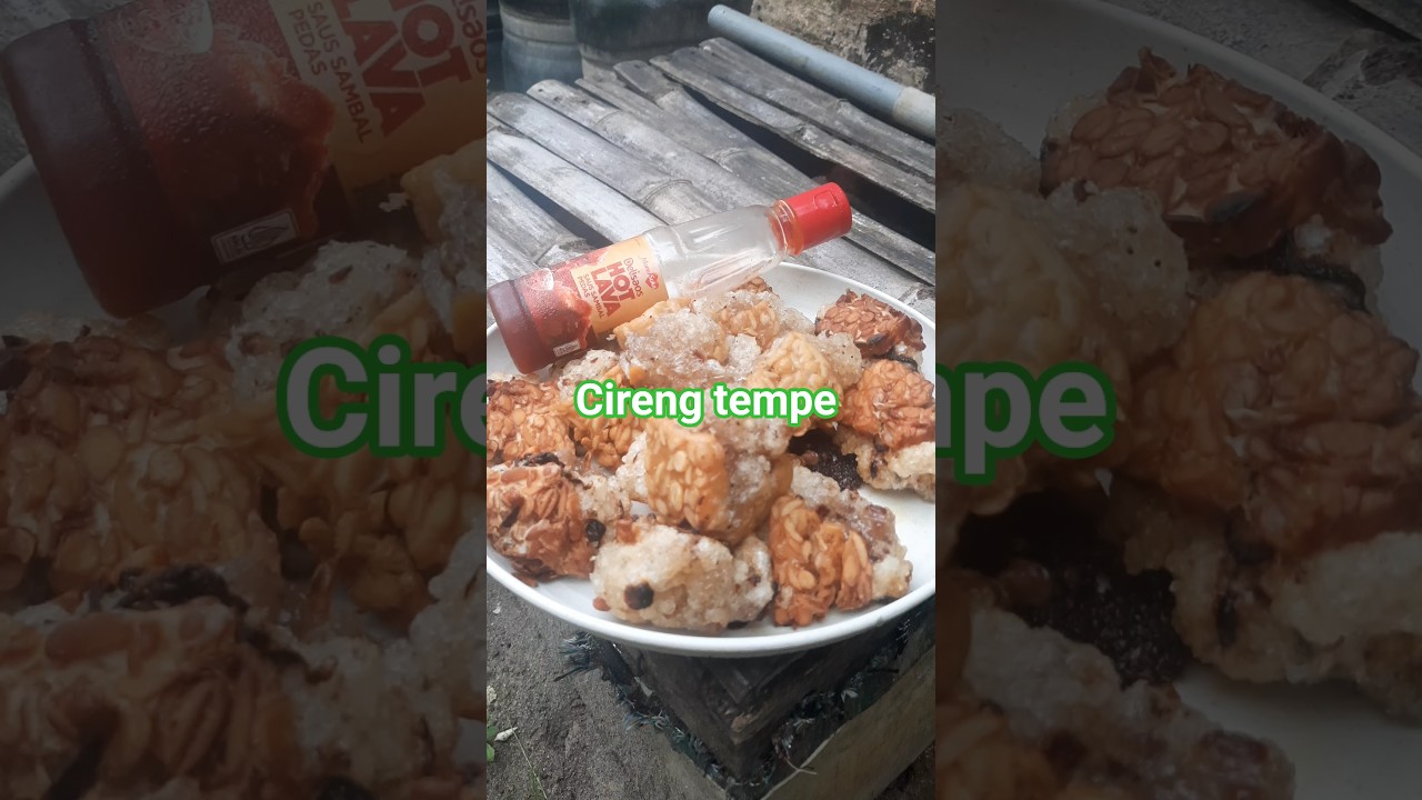 cireng tempe 