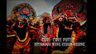 NEW! story Wa versi jaranan turi-turi putih