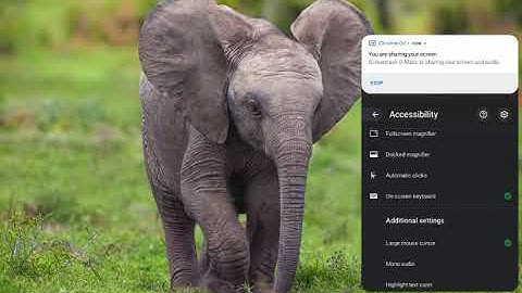 Chromebook Accessibility: Enlarging The Mouse Cursor