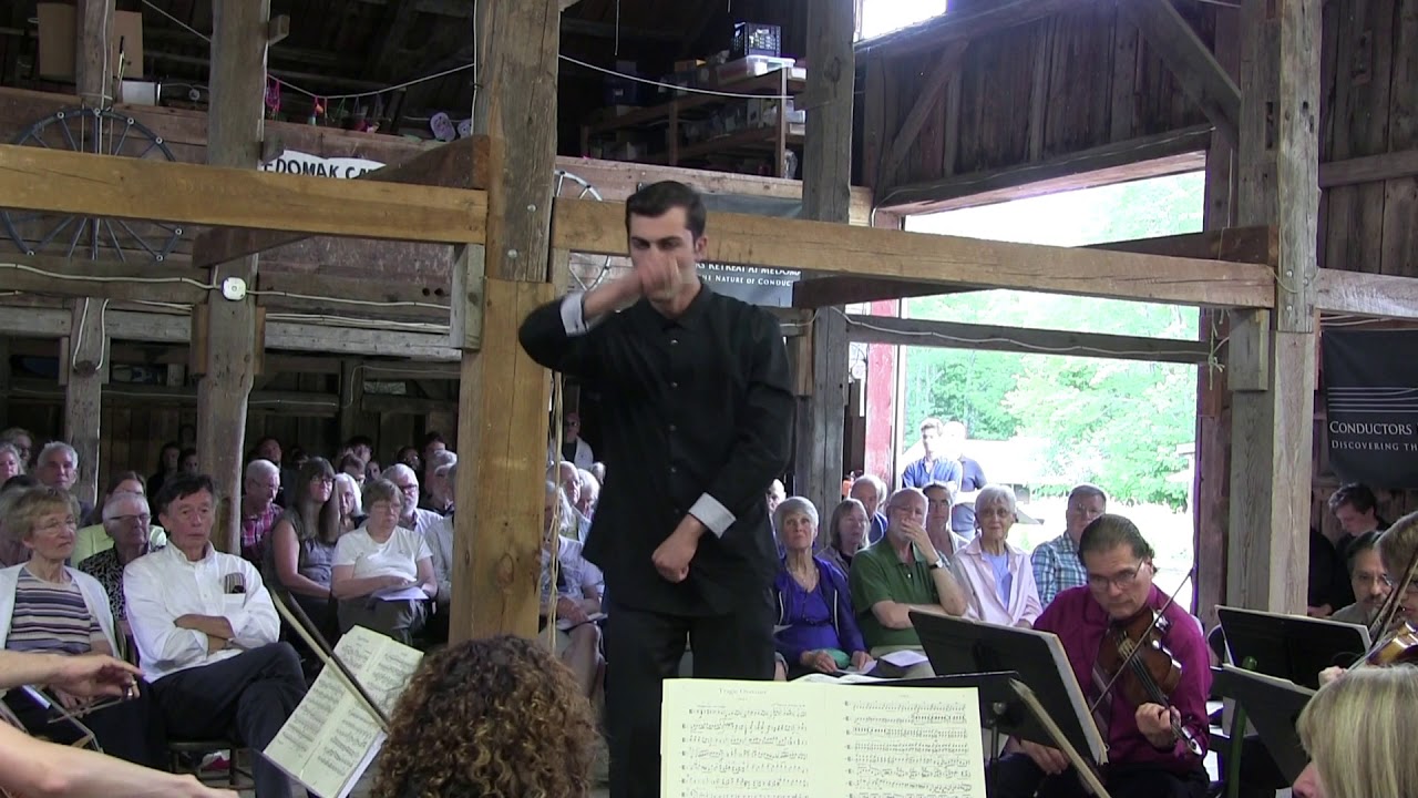 Brahms Tragic Overture (Daniel Newman-Lessler)