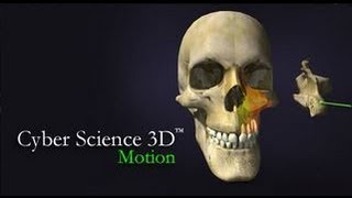 Leap Motion App Tutorial - Cyber Science Motion Skull