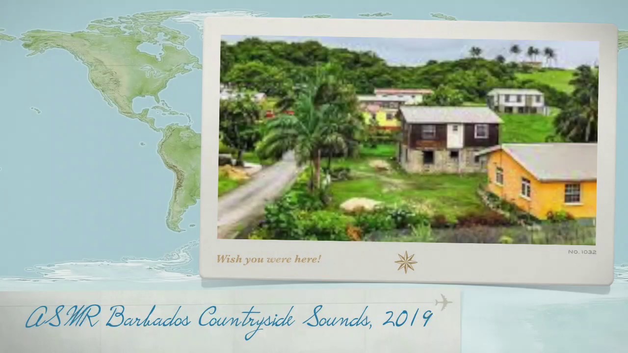 ASMR  Relaxing Barbados Nature Sounds on Loop