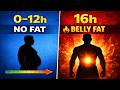 Your Body Refuses to Burn Belly Fat… Here’s Why