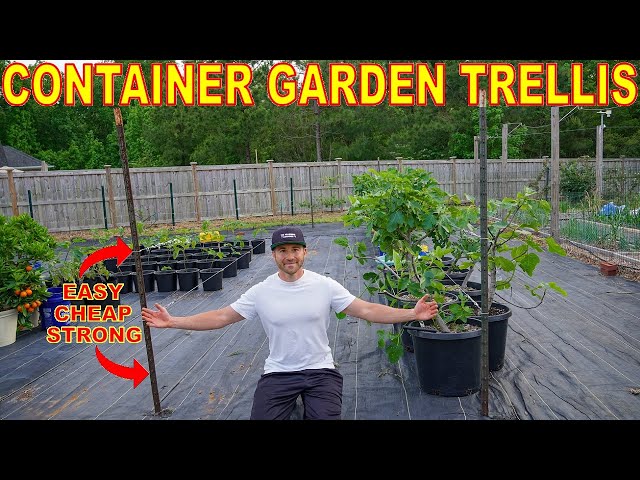 The BEST Container Garden Trellis Ever! Complete DIY Install Guide - YouTube