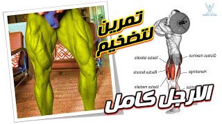 تمرين لتضخم و تقوية عضلات الارجل تمرين رجل كامل ( Legs workous )