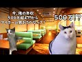 【年収２５０万～１０００万】年収で生活スタイルや仕事内容はどう変わるのか【猫ミーム】