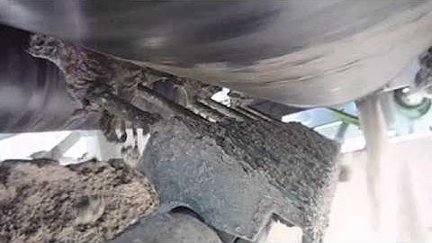 STARCLEAN® Secondary Conveyor Belt Scraper