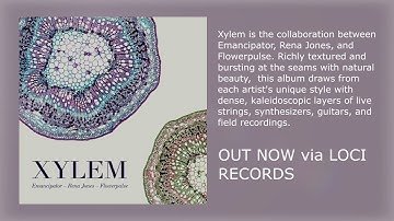 Thus - Emancipator, Rena Jones, Flowerpulse