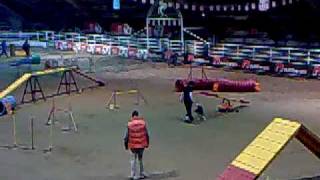 Voghera 05122009, Nina & Fra Agility 3