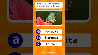 qué insecto es un gran depredador de plagas