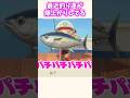 釣り運が良すぎて耐久配信がなくなるww【あつ森】