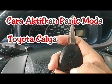 Video: Untuk apa alarm panik untuk mobil?