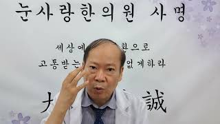 눈중풍 망막혈관폐쇄증에 좋은 방법 3가지 고질적눈질환책 참고 한의치료 한방관리법
