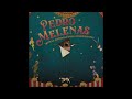 PedroMelenas Soundtrack