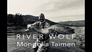 Taimen Flyfishing Mongolia 2019