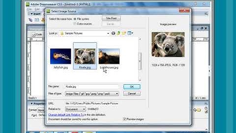 Chapter 3 - Part 6 - Inserting Images in a Web Page | Class 8 Computer