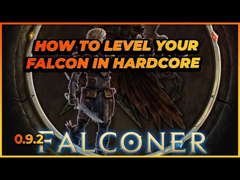 Last Epoch | How to Level Your Falcon In Hardcore | Complete Guide | 0.9.2