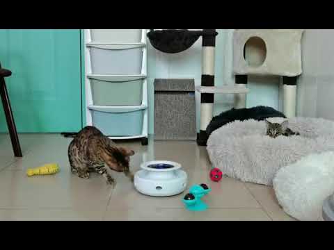 Умная интерактивная игрушка для котов и кошек T60 Smart Interactive Cat Toy от Xiaomi