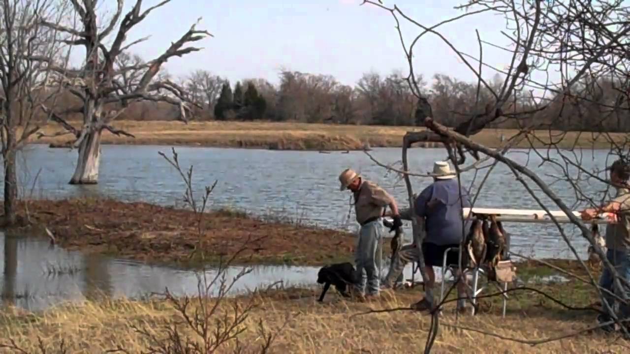 Rose Country AKC Hunt Test Spring 2011 Master YouTube rose-country-akc-hunt-test-spring-2011-master-youtube