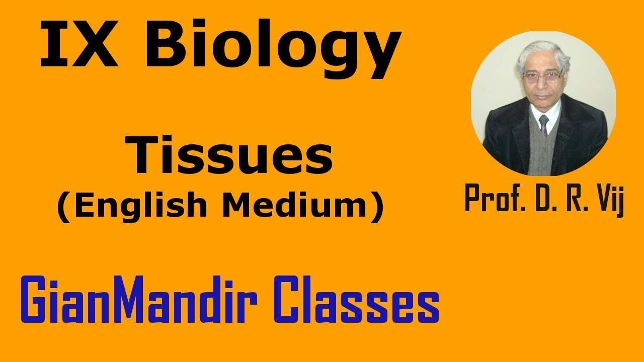 IX Biology | Tissues by Ruchi Ma'am